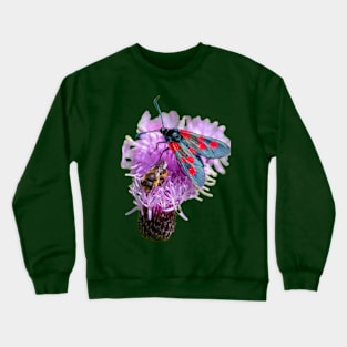 Burnet Moth and Honey Bee Crewneck Sweatshirt